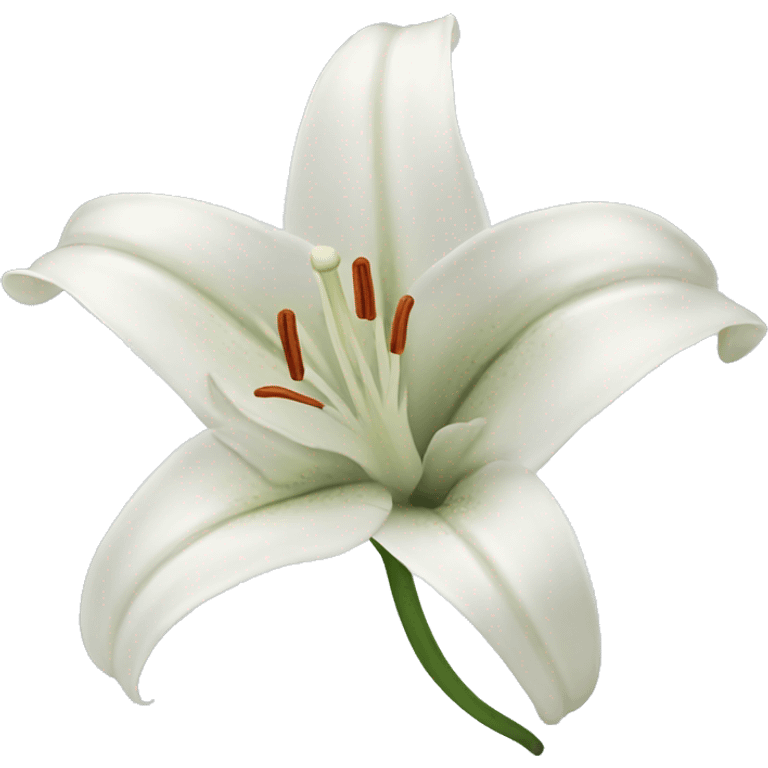 White lily emoji