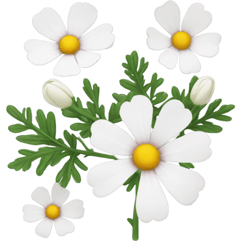 cosmos white flower emoji