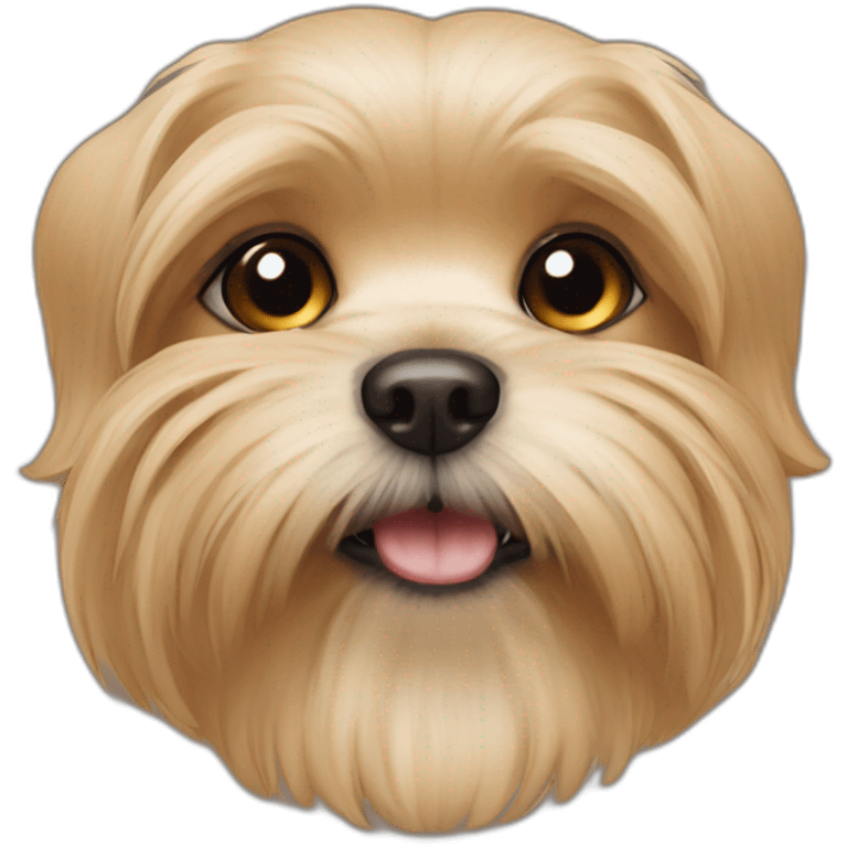 underbite beige shorkie dog emoji