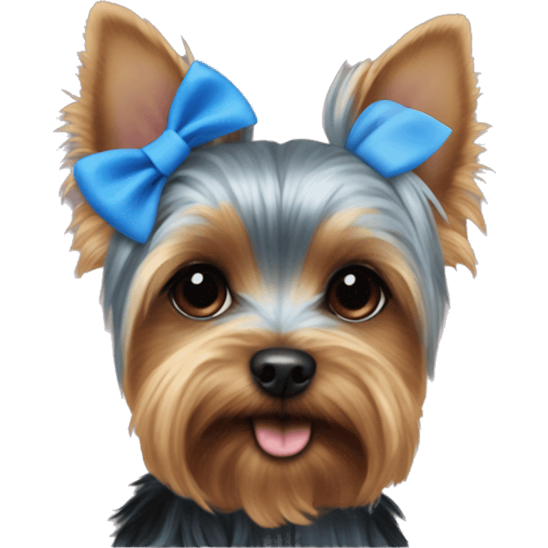 Yorkie very tiny with tiny blue bow on ear and collar that says cleo  emoji