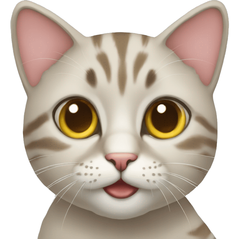 cat face emoji cool expression emoji