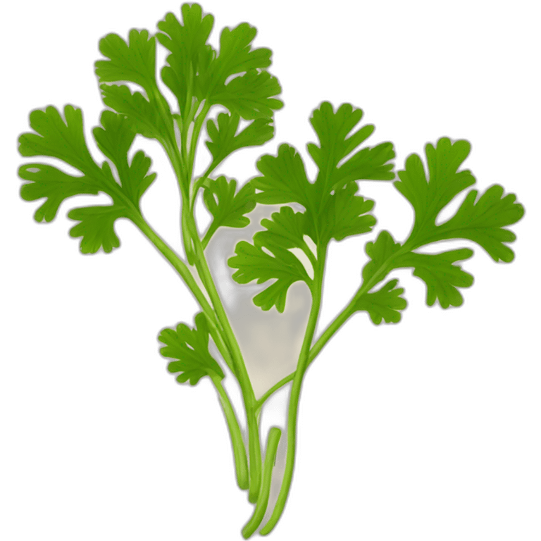 coriander emoji