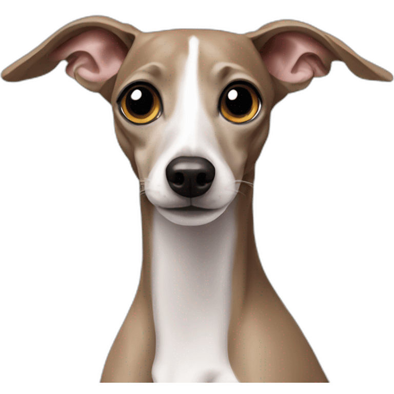 Italian greyhound emoji