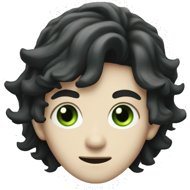 teenage white-skinned wizard with black hair green eyes in green disgue emoji