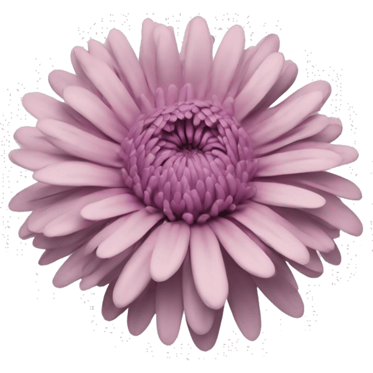 chrysanthemum emoji