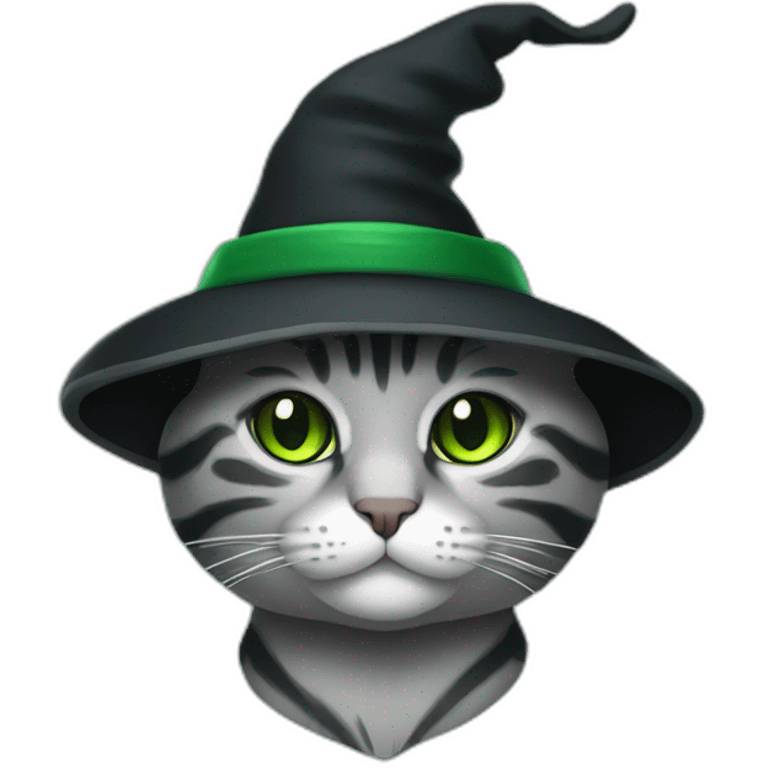 Grey stripped cat with green mantel and black Witch hat emoji