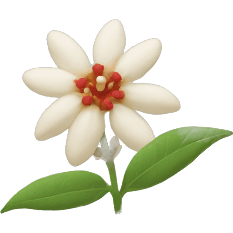 Emoji Ashwagandha flower  emoji