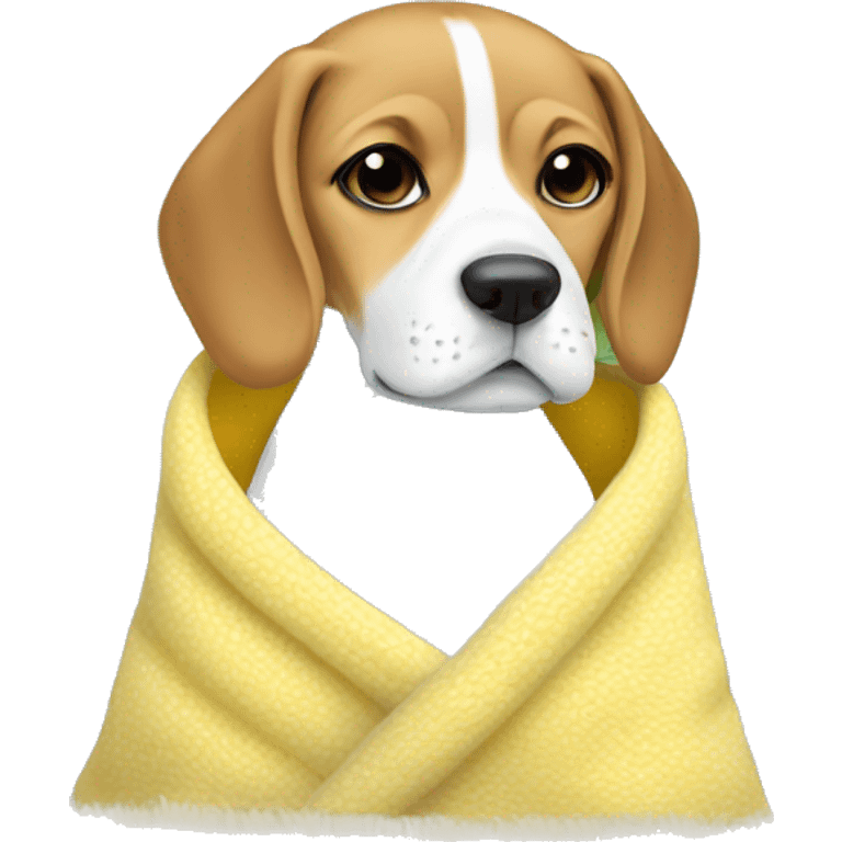 cute lemon and white beagle in cozy blanket  emoji