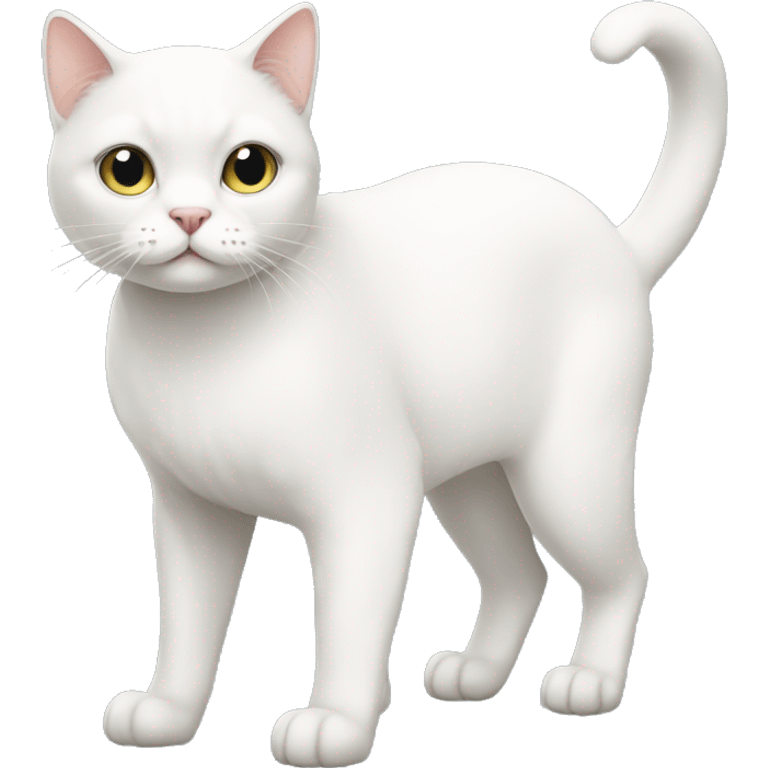 White cat full body emoji