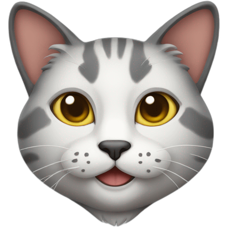 wisdom cat emoji