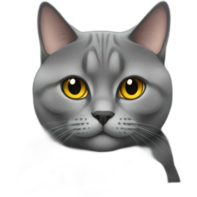 A grey British cat is sitting on the sofa emoji