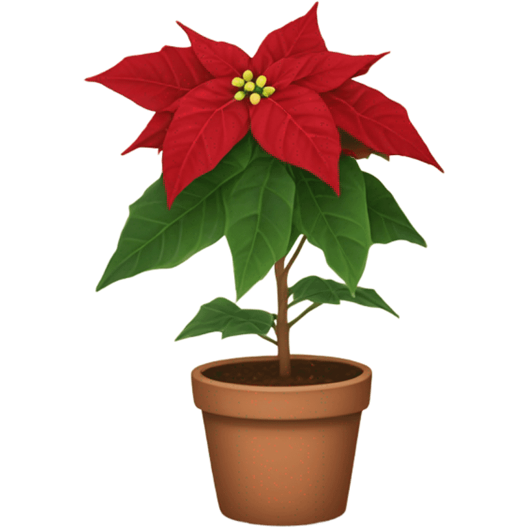 Poinsettia potted emoji