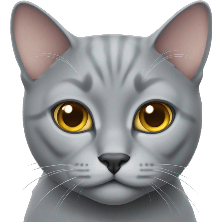 gray british cat emoji