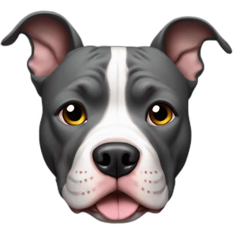 Pitbull-gris-oscuro-feliz emoji