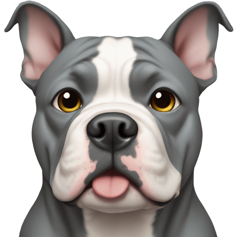 gray american bully emoji