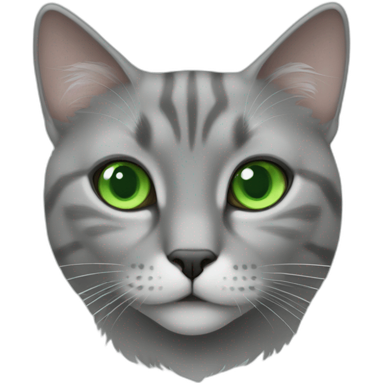 gray norwegian cat with green eyes emoji