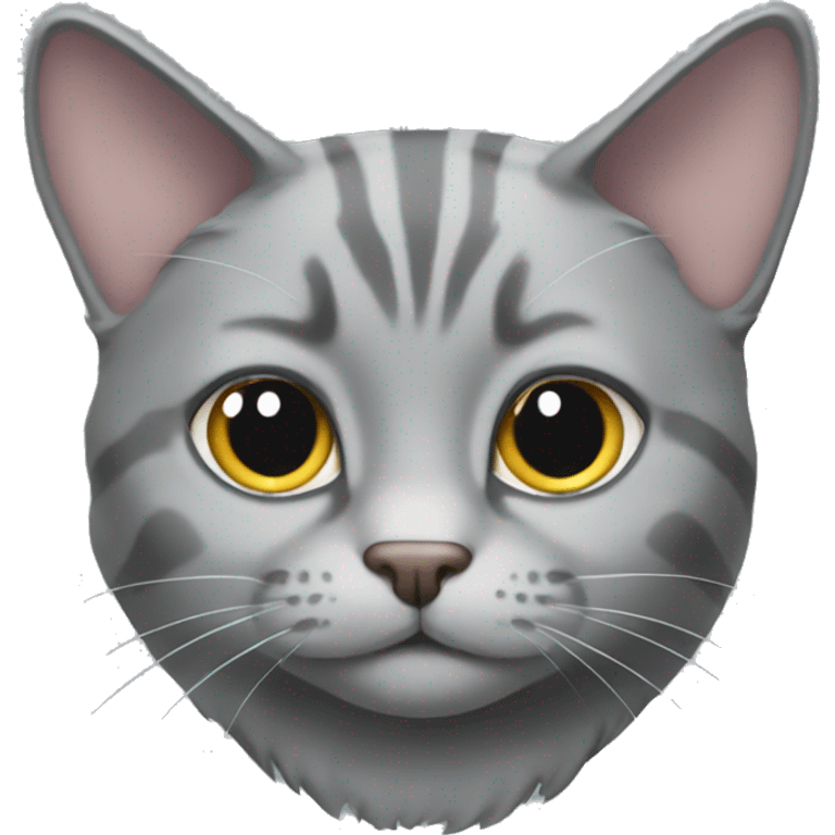 Shodla  fold gray cat emoji