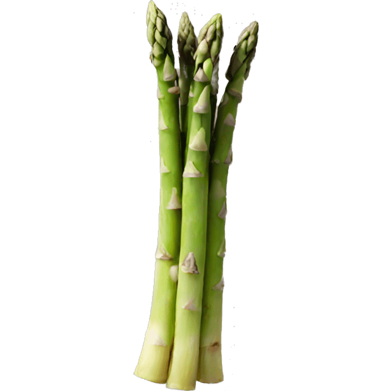 asparagus emoji