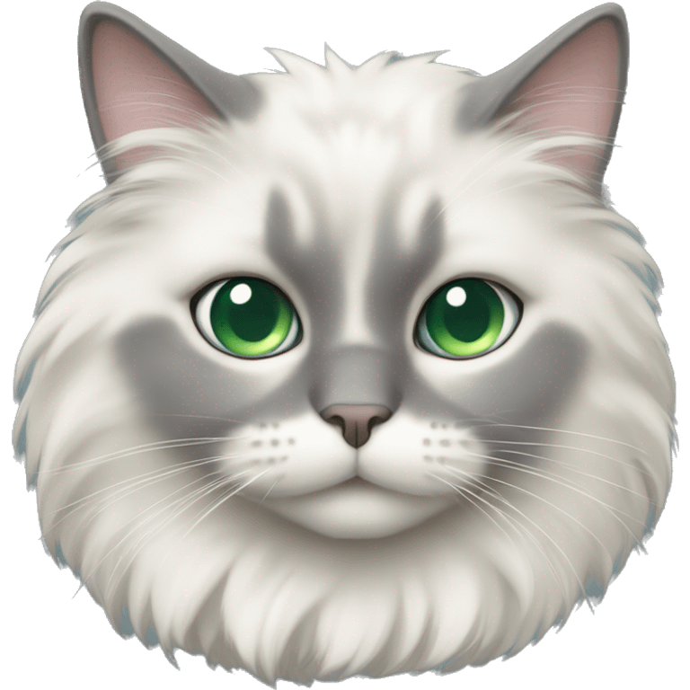 Fluffy cream and gray cat with green eye and blue eye emoji