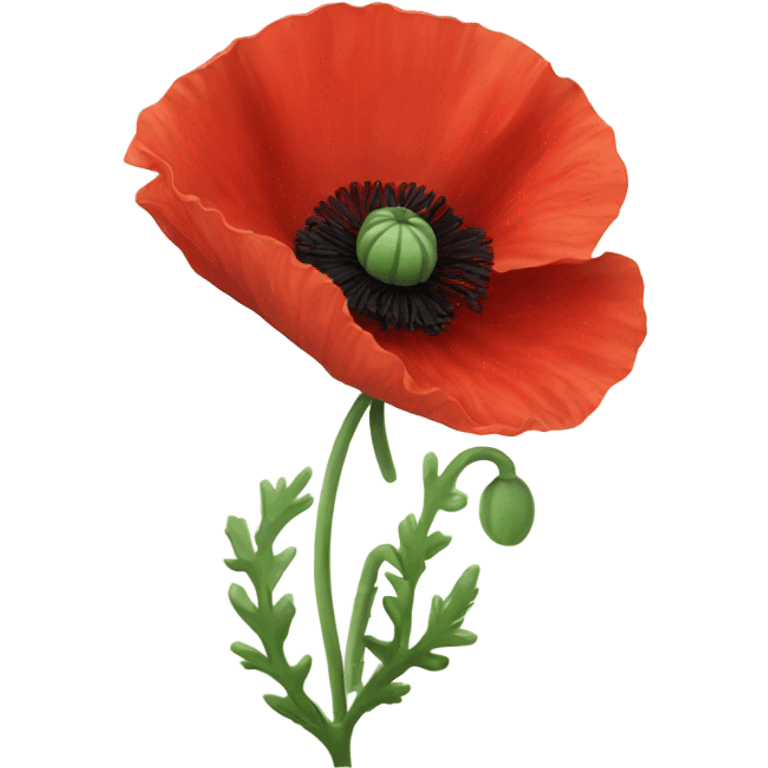 red poppy flower emoji