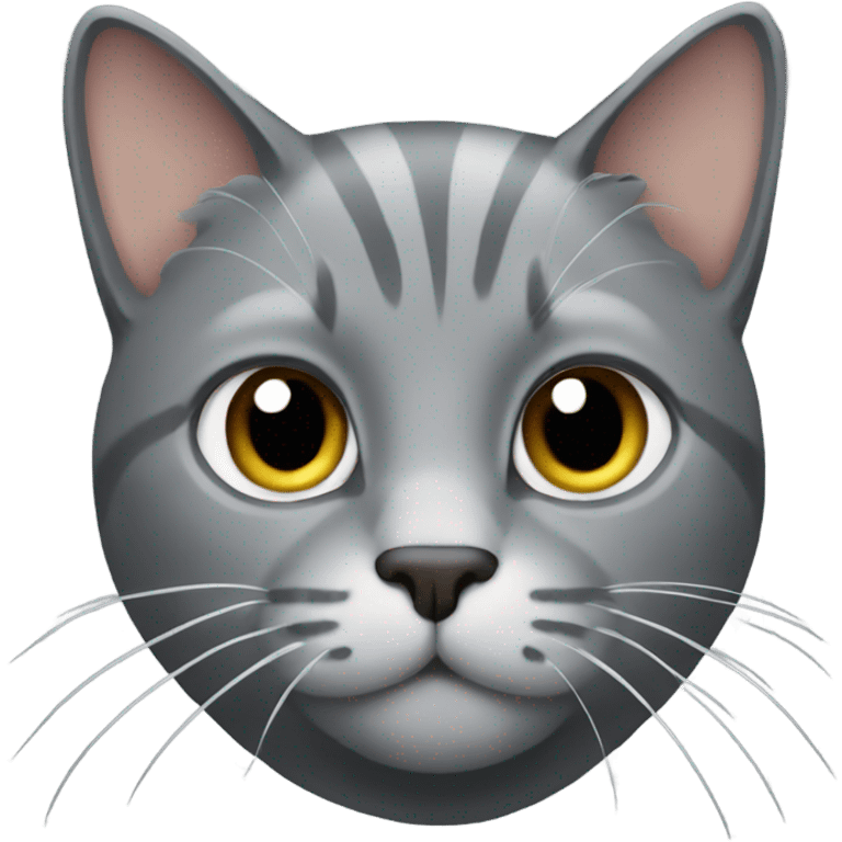 Grey cat buff emoji