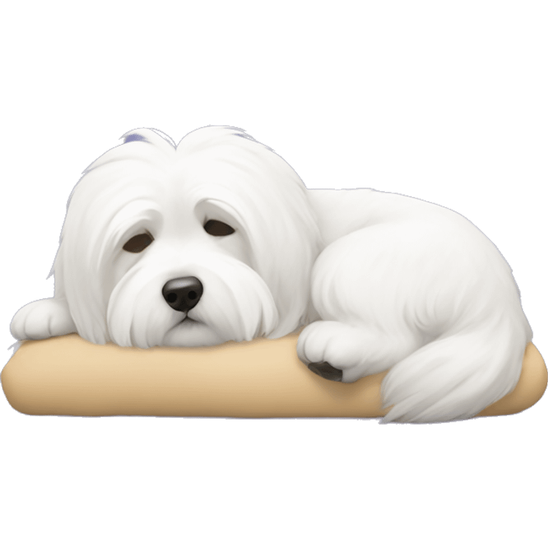 Coton de tulear sleeping on his back emoji