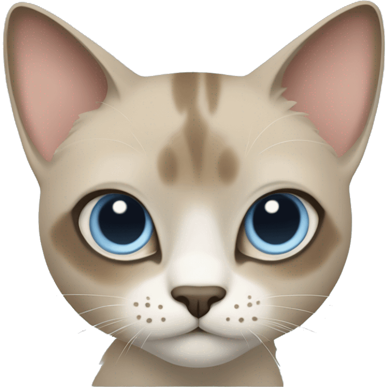 Thai breed cat with a light cream -brown body, dark gray-brown face, ears, and paws. Short fur, sharp ears, striking light blue eyes  emoji