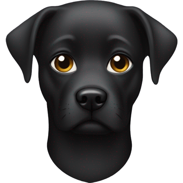 black lab wearing bat girl mask emoji