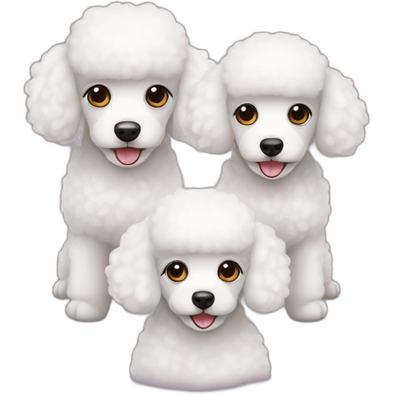 three-white-toy-poodles emoji