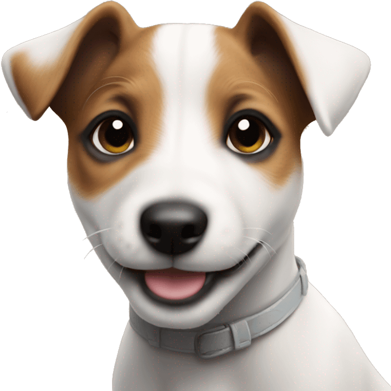 The sweetest very small puppy jack Russell terrier emoji