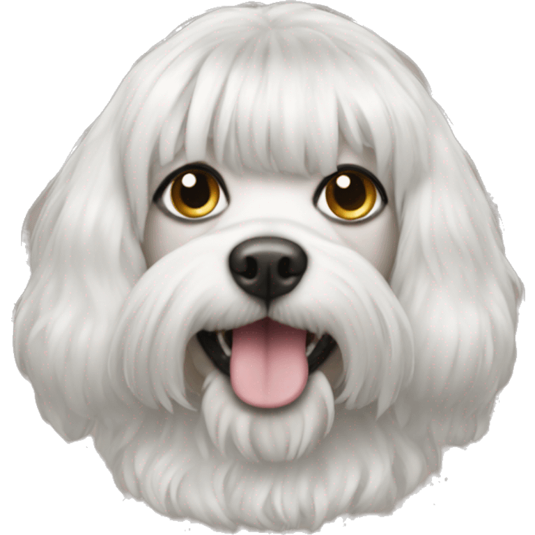 dog wearing a wig emoji