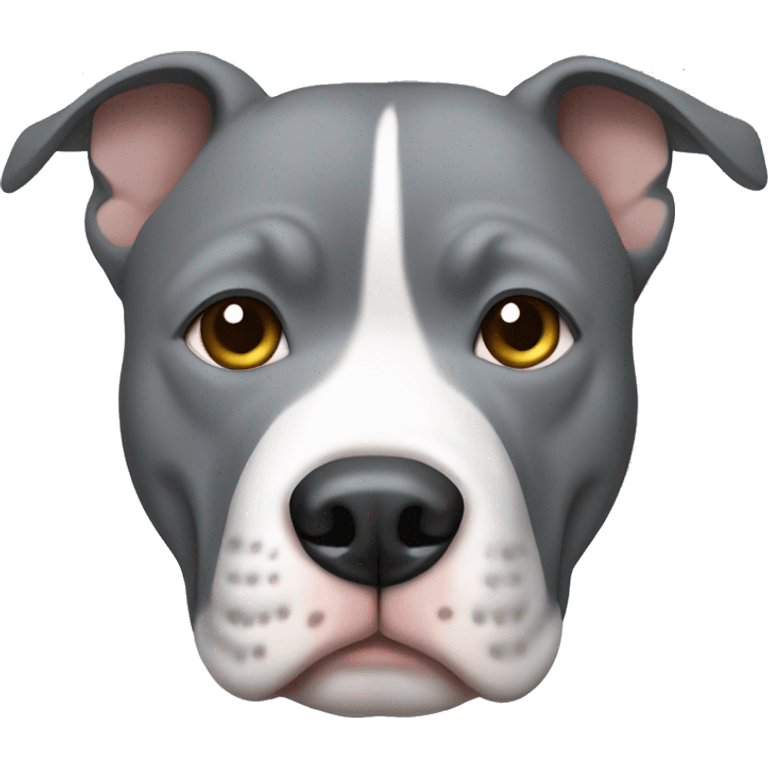 Gray pitbull with white face and gray ears with hazel eyes  emoji