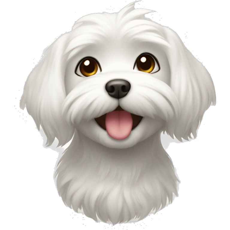 maltese with smile emoji