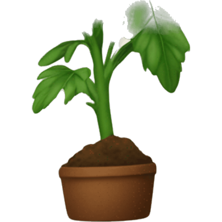 mary jane plant  emoji