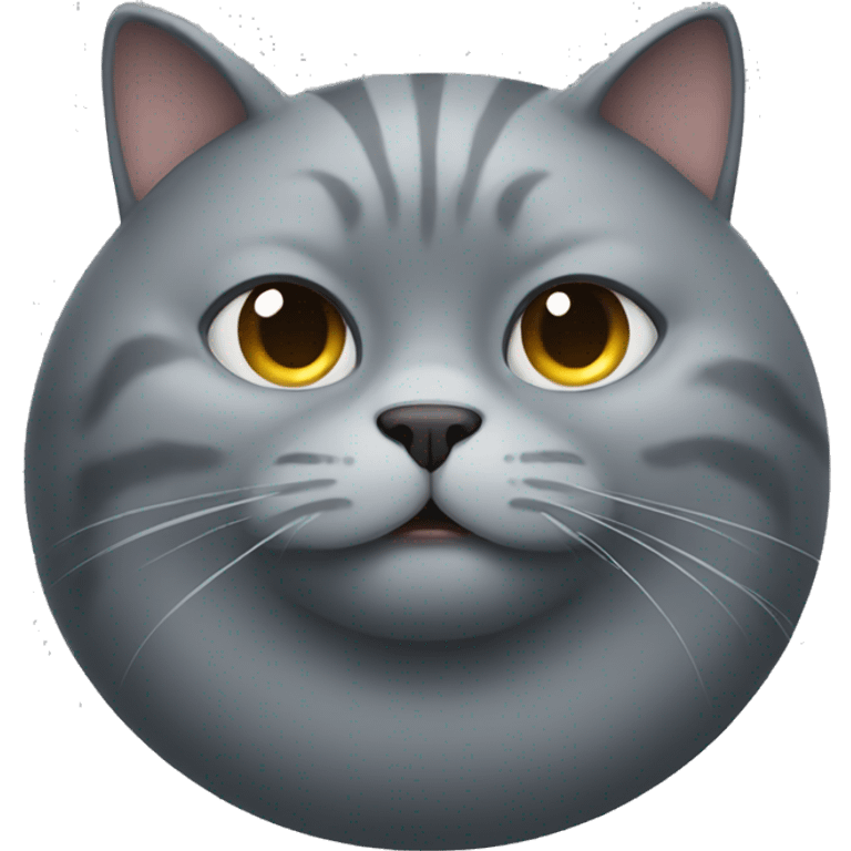 Big round fat grey cat emoji