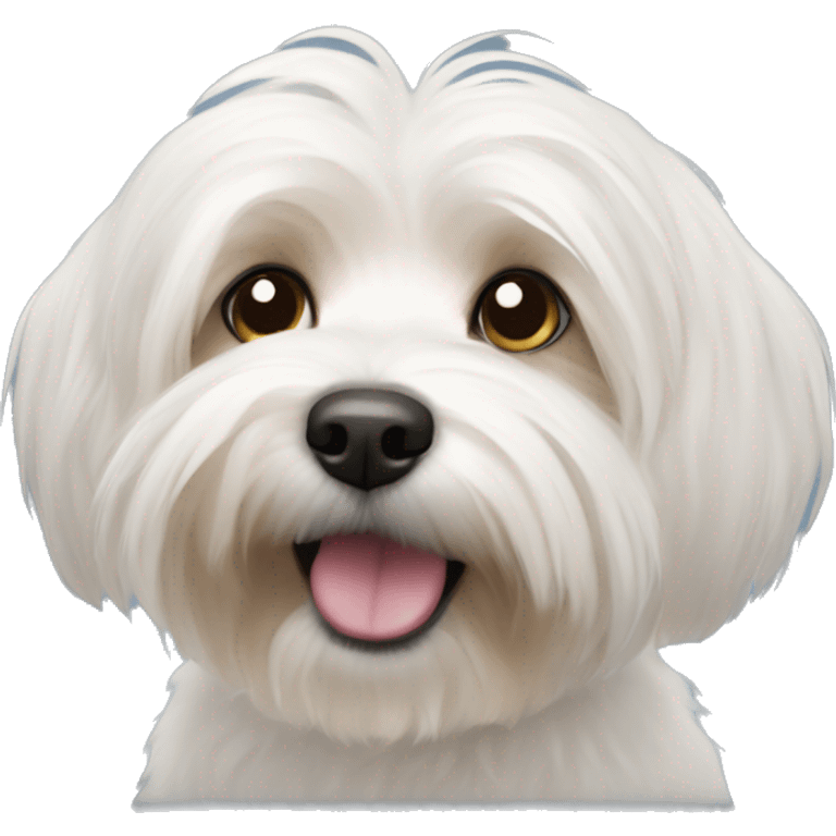 Havanese emoji