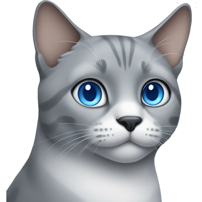 grey cat with blue eyes  emoji