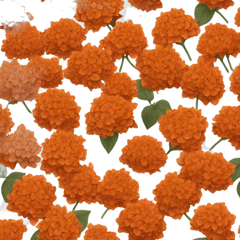 Burnt orange hydrangeas  emoji