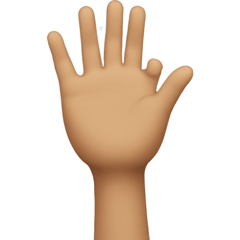 A person raising his hand emoji