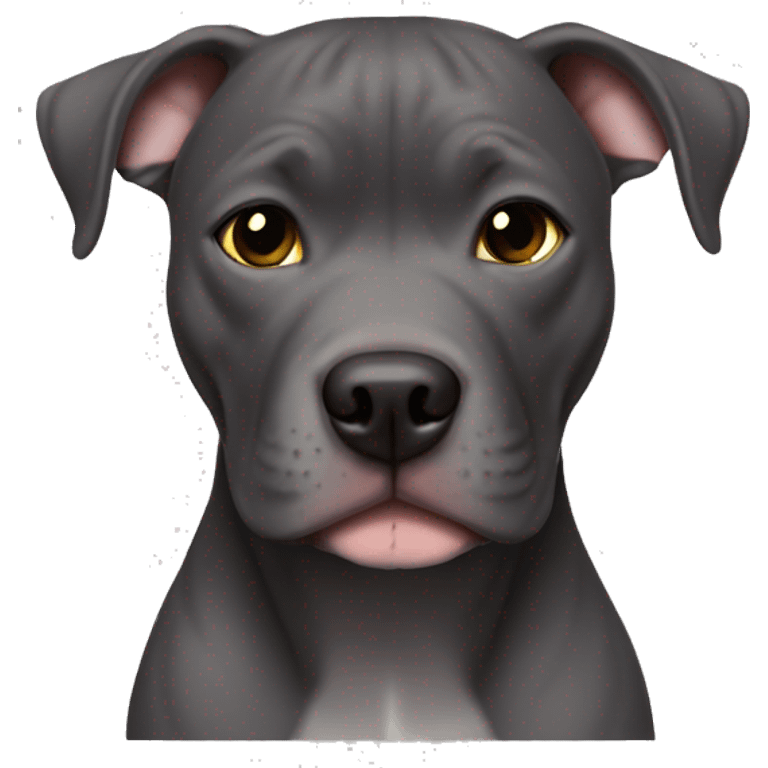 all dark grey pitbull no white with hazel eyes girl emoji