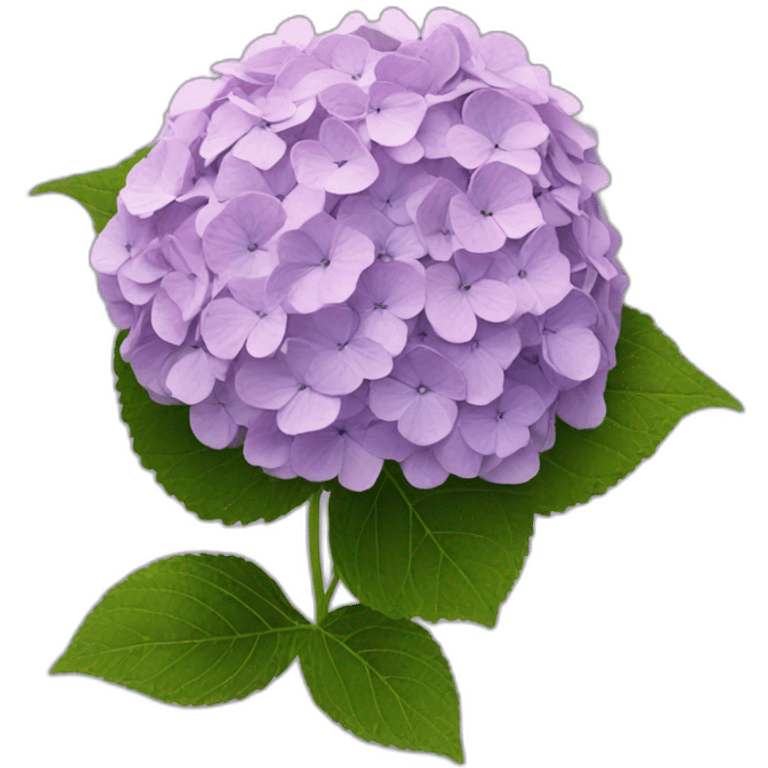 hydrangea emoji