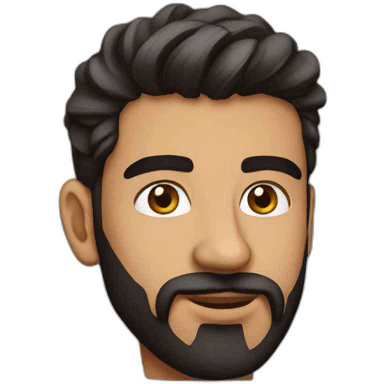 Amir tataloo emoji