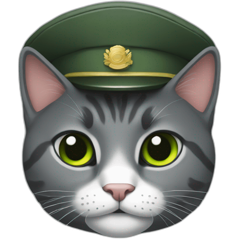 dark-gray-cat-with-white-forehead-and-green-military-hat emoji