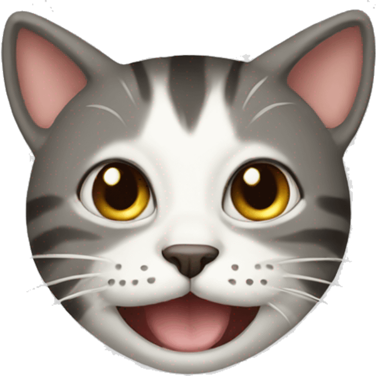 cat crazy emoji emoji