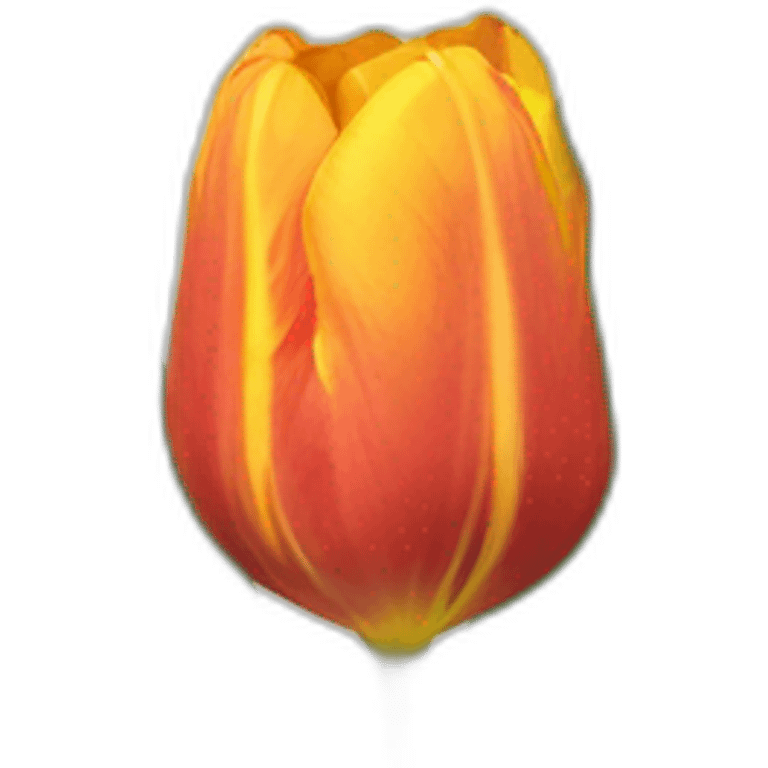 Tulipe  emoji