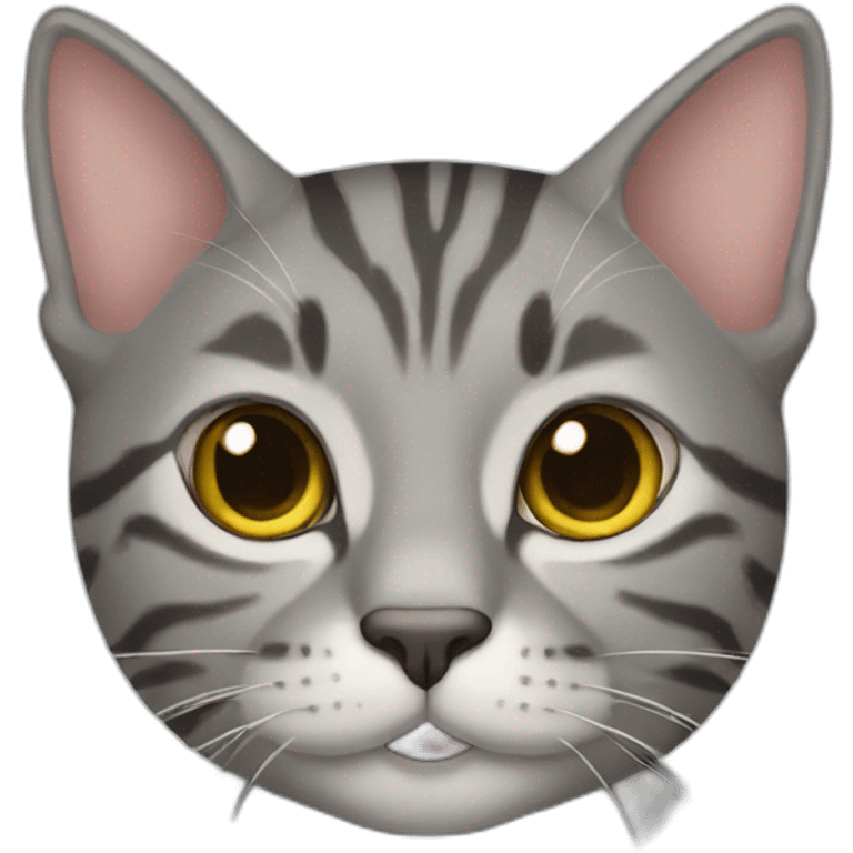 gray tabby cat emoji