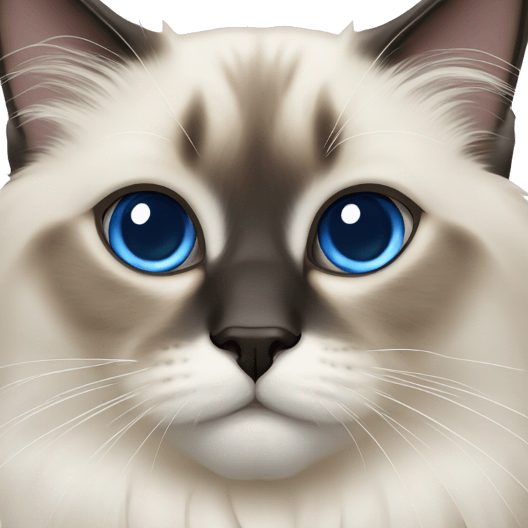 Blue eyes birman cat  emoji