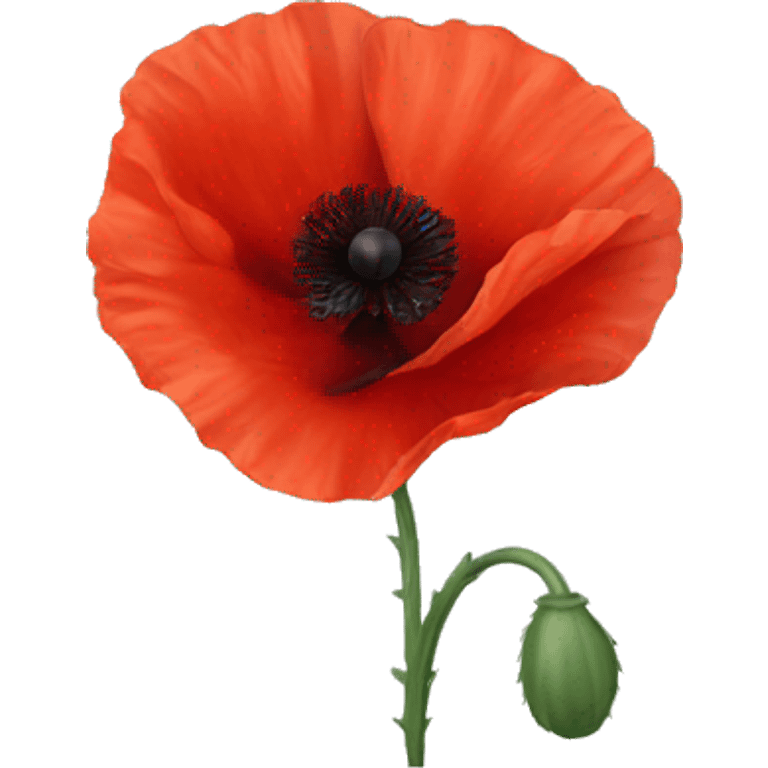 Red poppy flower emoji