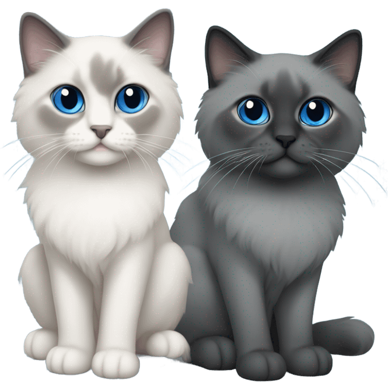 Two Blue point ragdoll cats with short length hair, with blue eyes, dark face  emoji