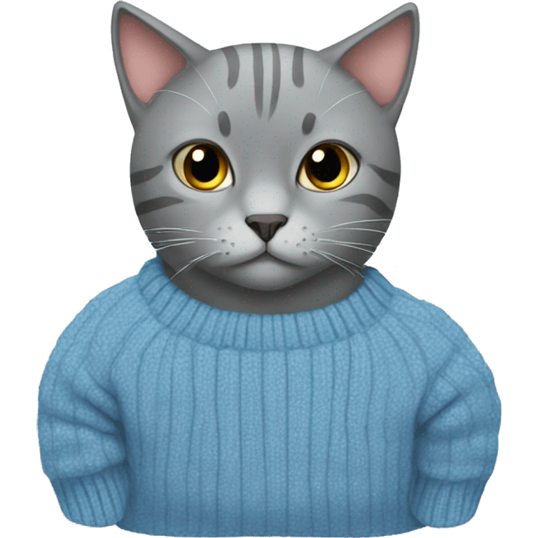 Grey cat with a sweater, blue sweater  emoji